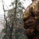 Foto-Forum BEFO-2014-  022